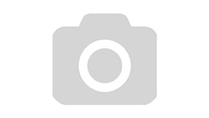 Интересные факты про Один дома 1